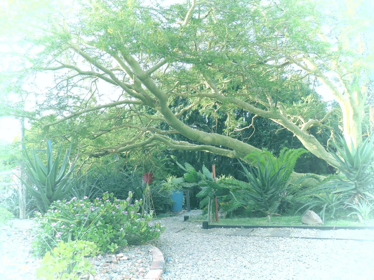 Wiltshire Rondavel Villa Port Alfred Dış mekan fotoğraf